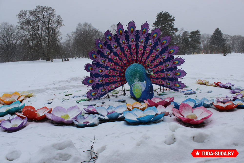 festival-gigantskikh-kitayskikh-fonarey-v-botanicheskom-sadu