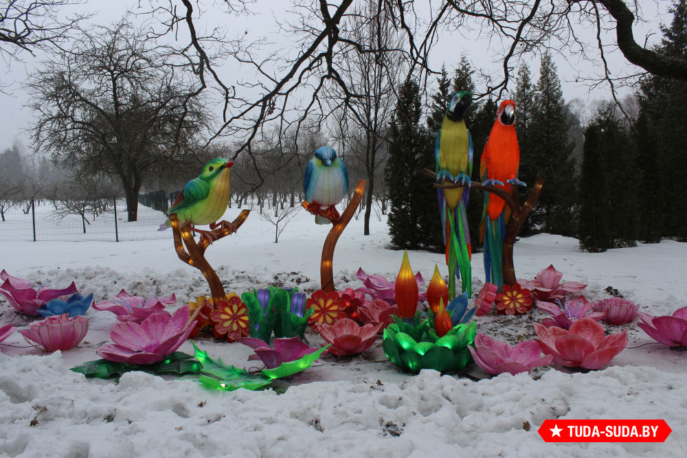 festival-gigantskikh-kitayskikh-fonarey-v-botanicheskom-sadu