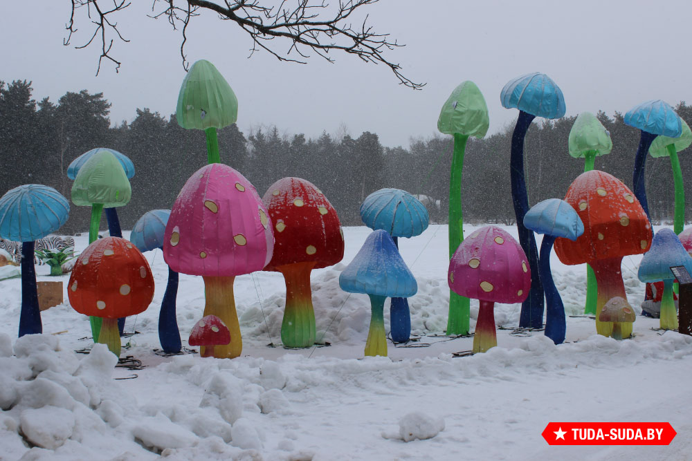 festival-gigantskikh-kitayskikh-fonarey-v-botanicheskom-sadu