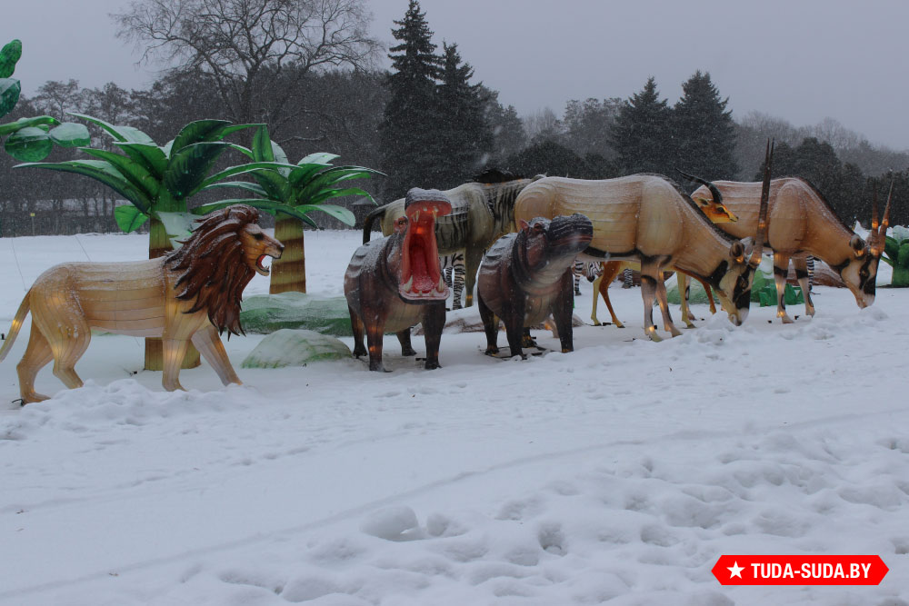 festival-gigantskikh-kitayskikh-fonarey-v-botanicheskom-sadu