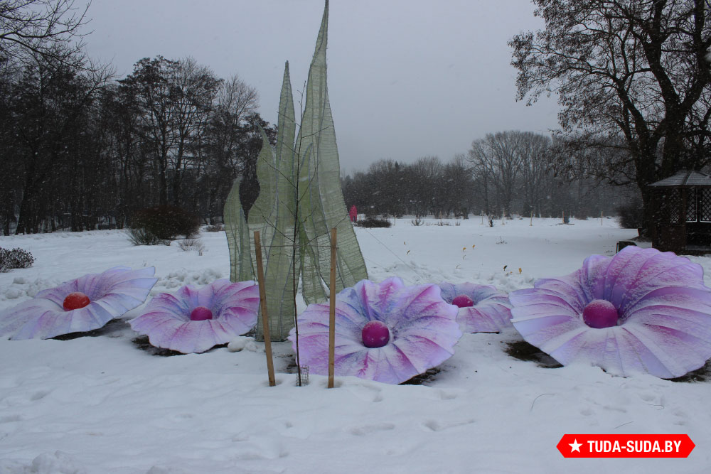 festival-gigantskikh-kitayskikh-fonarey-v-botanicheskom-sadu