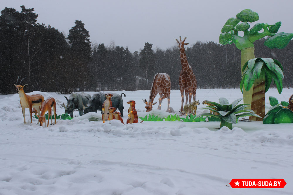 festival-gigantskikh-kitayskikh-fonarey-v-botanicheskom-sadu