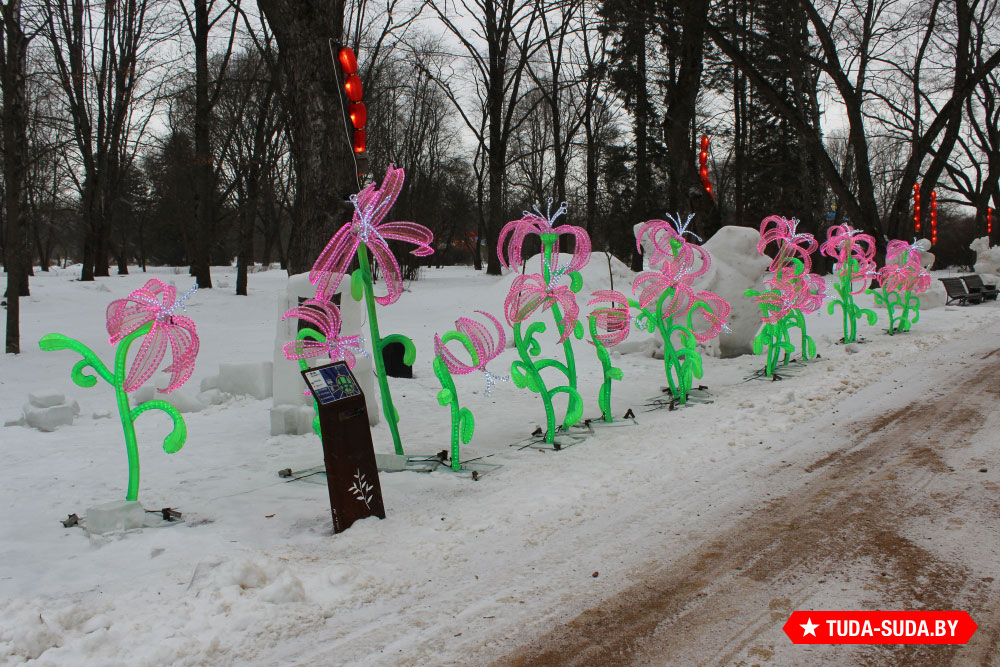 festival-gigantskikh-kitayskikh-fonarey-v-botanicheskom-sadu