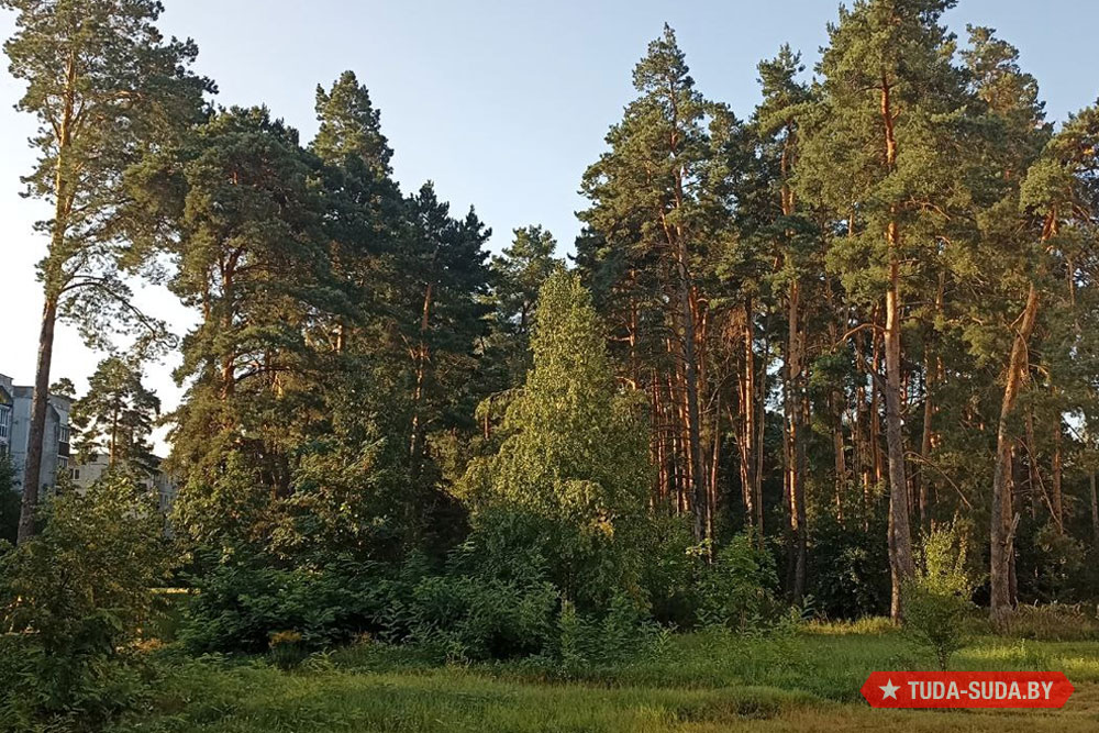 Погода в Беларуси в сентябре