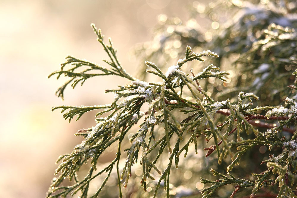 Погода в Беларуси