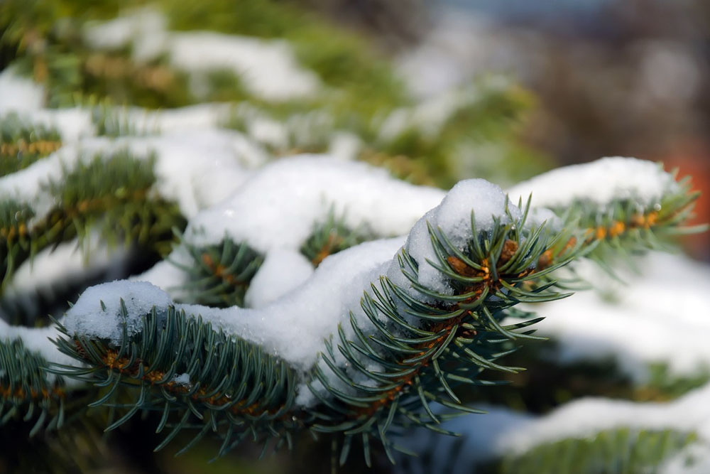 Погода в Беларуси