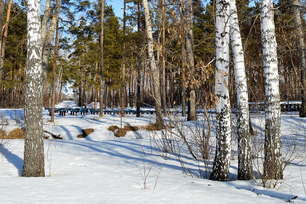 Погода в Беларуси