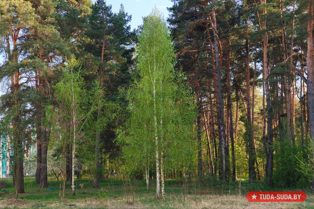 Погода в Беларуси