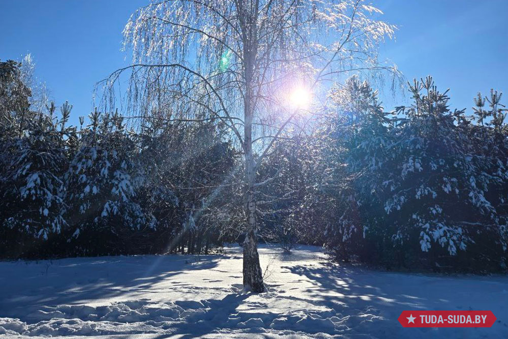 Что синоптики обещают Беларуси в феврале и на неделе Погода в Беларуси