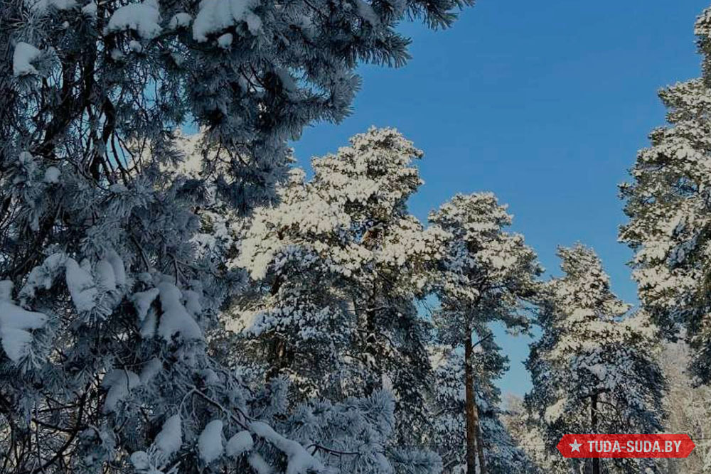 Какой будет последняя неделя зимы в Беларуси Погода в Беларуси