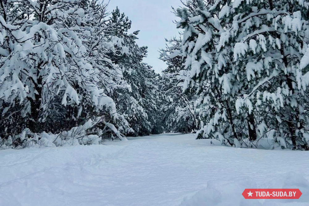 Погода в Беларуси