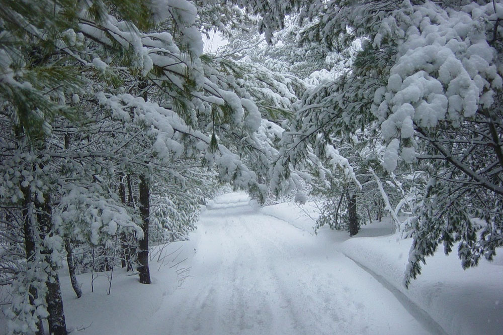 Погода в Беларуси