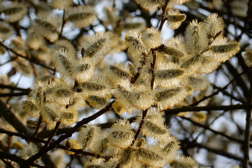 Погода в Беларуси