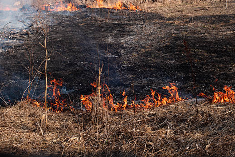 Пожароопасный сезон
