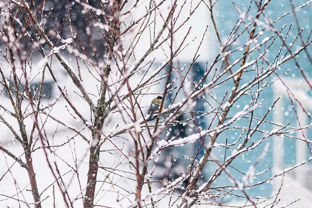 Погода в Белвруси