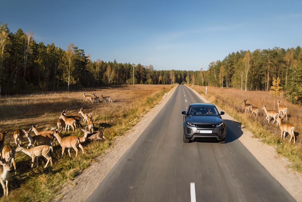 Маршрут выходного дня