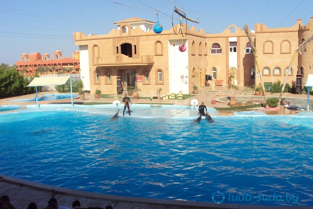 delfinariy-sharm-el-sheykha