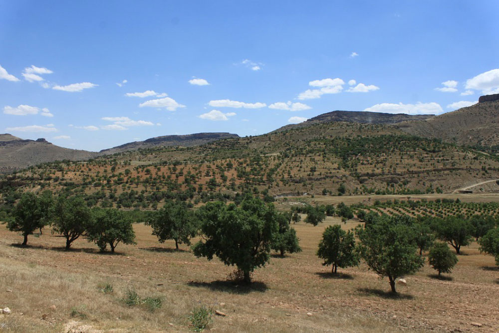 osobennosti-klimata-na-raznykh-kurortakh-turtsii